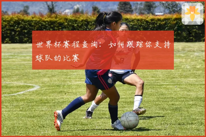 世界杯赛程查询:如何跟踪你支持球队的比赛