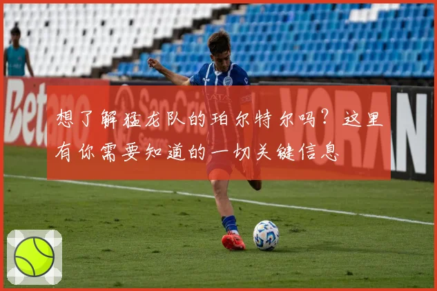 想了解猛龙队的珀尔特尔吗？这里有你需要知道的一切关键信息