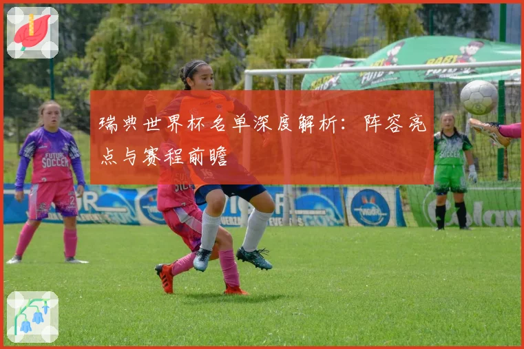 瑞典世界杯名单深度解析:阵容亮点与赛程前瞻